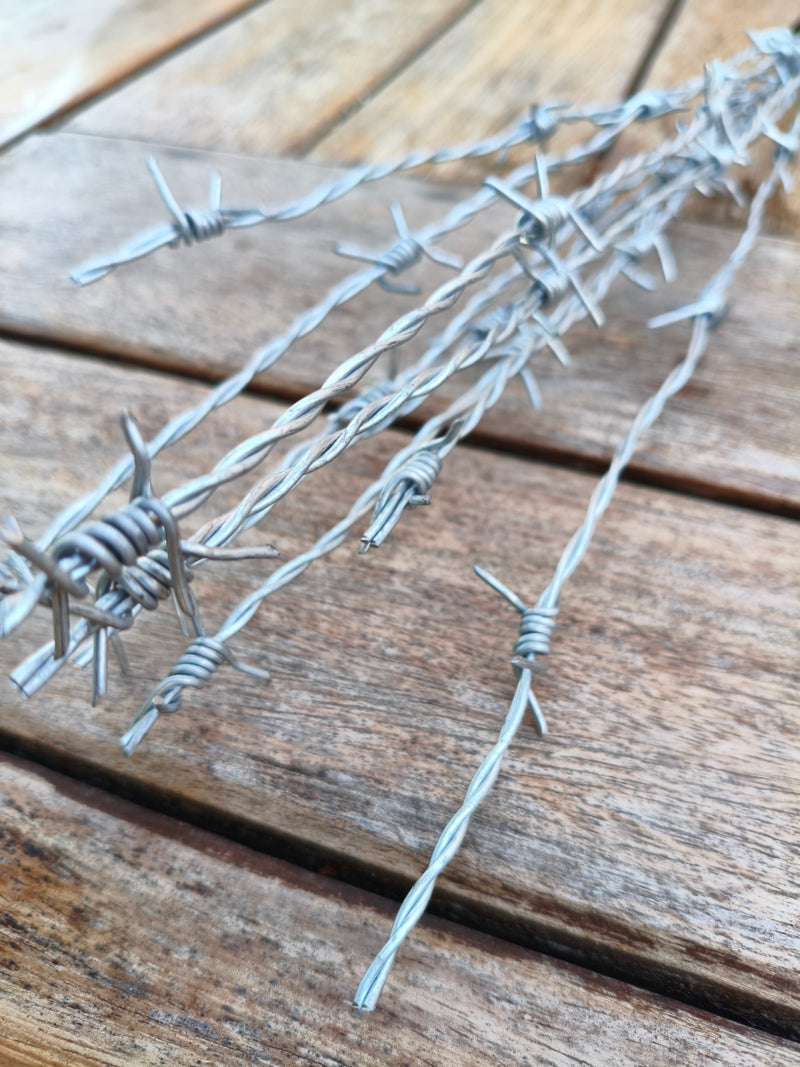 Gros plan sur les pointes des fils barbelés du martinet AdryX